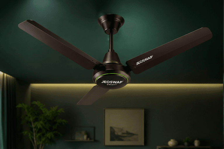 BLDC Fan